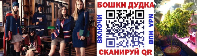 Как найти наркотики Жуков ГАШИШ  Cocaine  Меф  ОМГ ОМГ зеркало  Канабис 